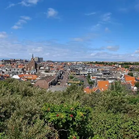 Duinnachtegaal *