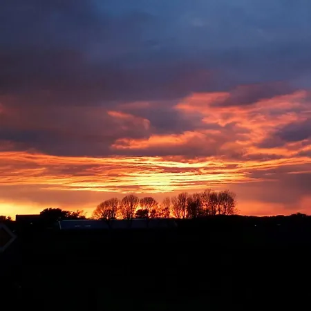 Duinnachtegaal *