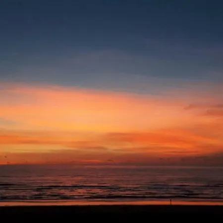 Duinnachtegaal Σπίτι διακοπών